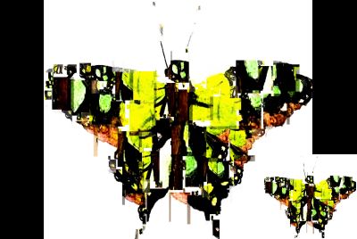 Scene - Butterflies - 2011-11-10-04h44m17s